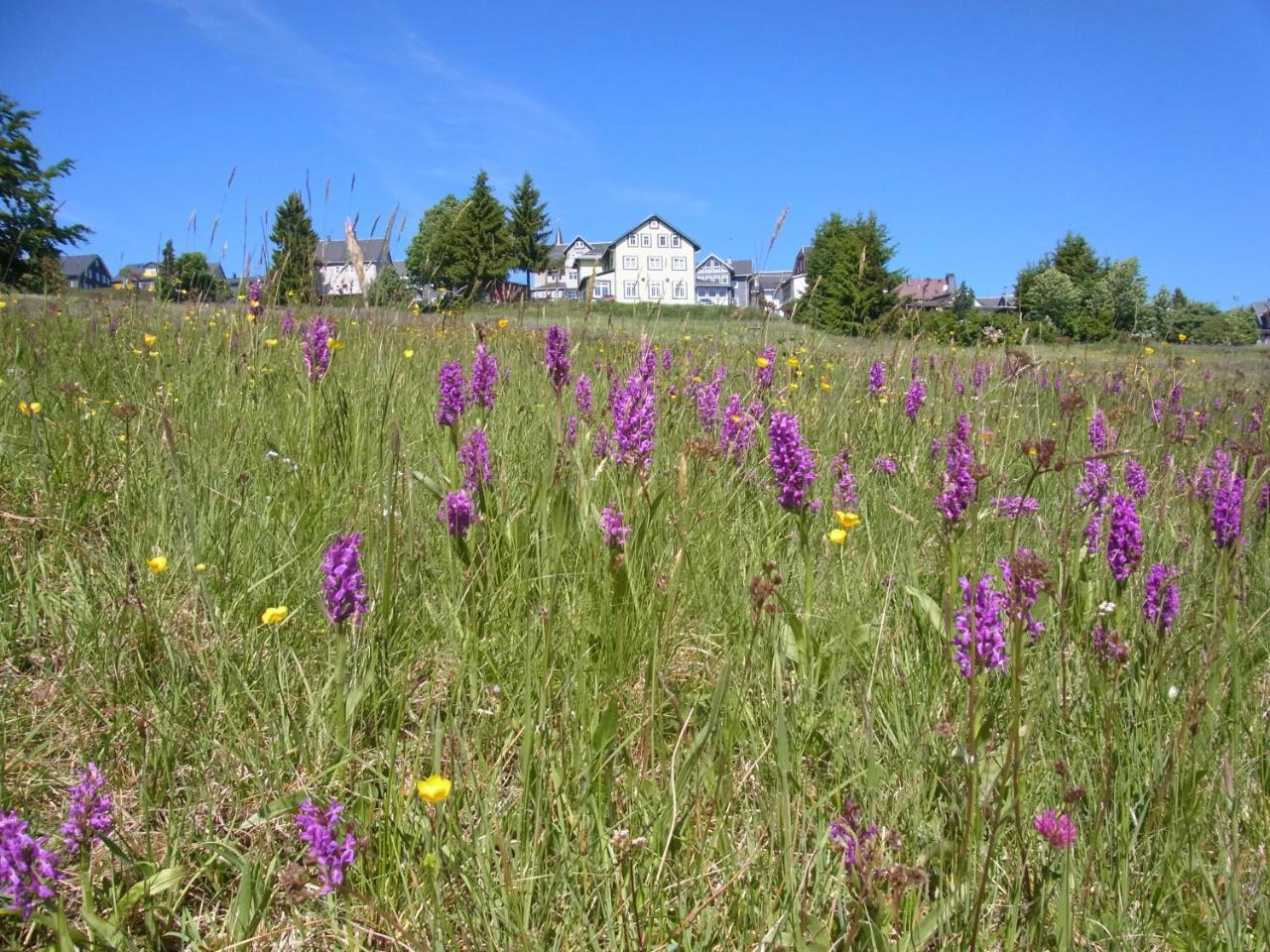 מאסרברג Hotel Schoene Aussicht מראה חיצוני תמונה